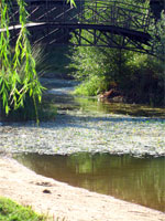Бабаевский пруд в сентябре